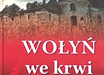 Pomnik i koncert