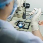 In vitro nie dało dziecka, a naprotechnologia - tak