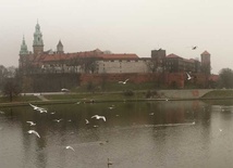 Poszukiwacze skarbów