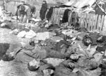 Mordowali Polaków jak Niemcy Żydów