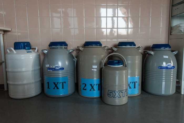 Handel komórkami jajowymi legalny