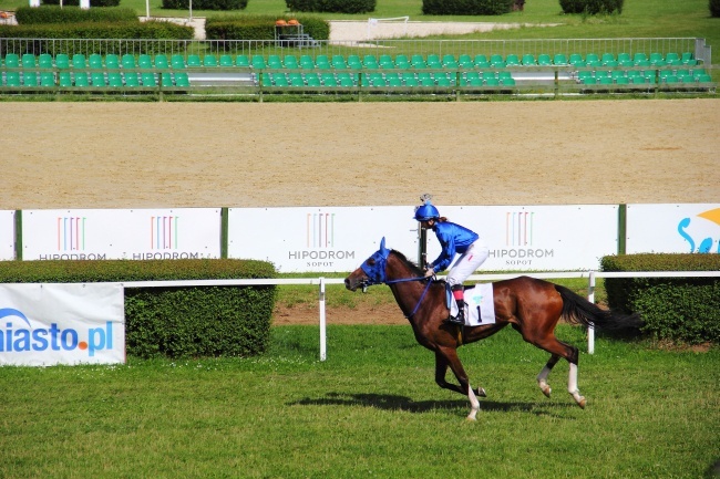 Wyścigi konne 2013 