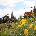 Ogród u sióstr Szkolnych de Notre Dame