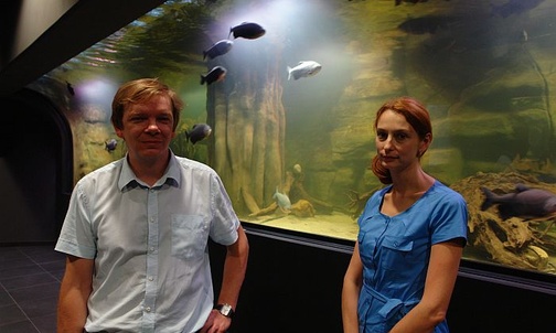 Podwodny świat w Gliwicach