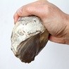 Nacinak dwustronny sprzed 800 tysięcy lat, znaleziony w Kończycach pod Cieszynem