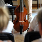 Viola da gamba