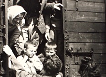  Transport dobytku z Kresów na Górny Śląsk, 1945 r.