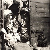  Transport dobytku z Kresów na Górny Śląsk, 1945 r.