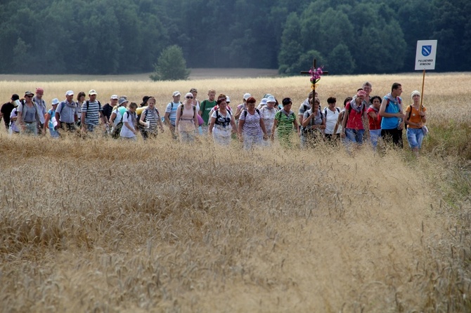 68. Pielgrzymka Rybnicka - dzień 1. - Wilcza