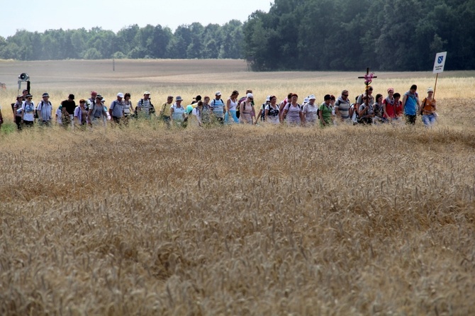 68. Pielgrzymka Rybnicka - dzień 1. - Wilcza