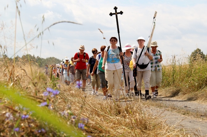 68. Pielgrzymka Rybnicka - dzień 1. - Wilcza