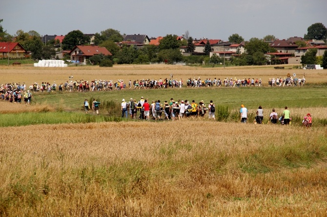 68. Pielgrzymka Rybnicka - dzień 1. - Wilcza