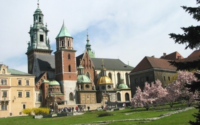 Groził siekierą na Wawelu - jest niepoczytalny