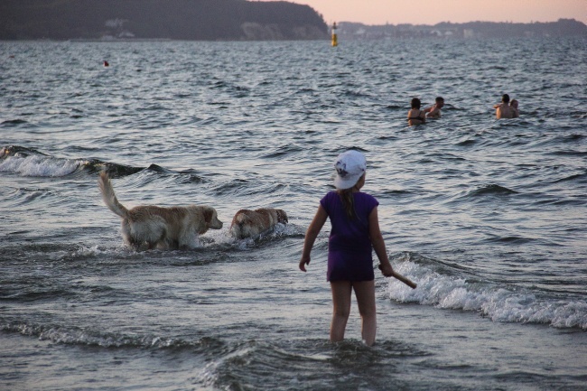 Psia plaża w Sopocie 