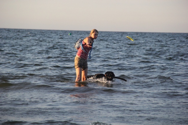 Psia plaża w Sopocie 