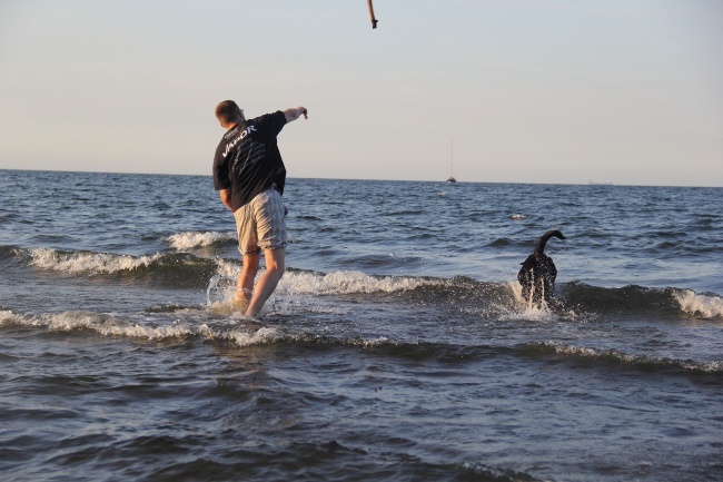 Psia plaża w Sopocie 