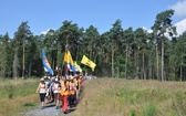 Przyroda na szlaku