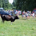 Opoczyńska kolumna maszeruje