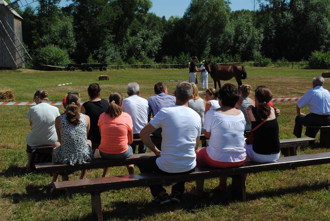 Koń, jaki jest...