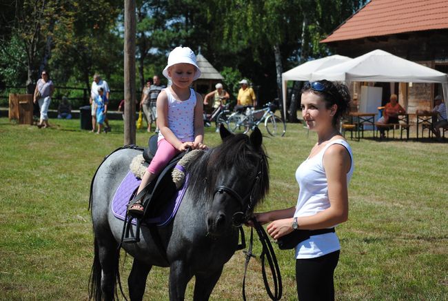 Koń, jaki jest...