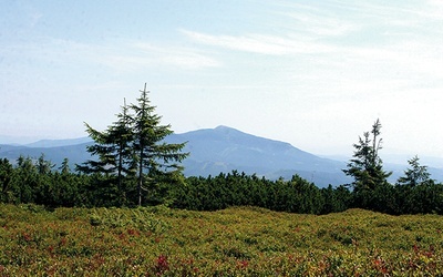 Widok z Pilska (1557 m n.p.m.)  na Babią Górę (1725 m n.p.m.)