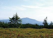 Widok z Pilska (1557 m n.p.m.)  na Babią Górę (1725 m n.p.m.)