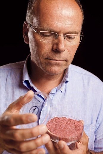 Prof. Mark Post z Uniwersytetu w Maastricht wyhodował w laboratorium komórki mięśniowe. Żeby spopularyzować swoje badania, zrobił z nich hamburger, który publicznie zjadł. Choć cała akcja wyglądała może mało poważnie, badania nad hodowlami tkankowymi są bardzo istotne dla przyszłości medycyny