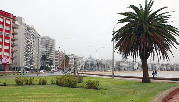 Piękne wybrzeże z plażami i domami wczasowymi jest chlubą Montevideo. Cudzoziemscy turyści, którzy cały urlop spędzają na plaży, nie dostrzegają rzeczywistych problemów Urugwaju