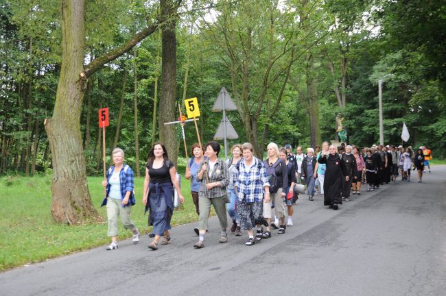 Strumień raciborski w Centawie