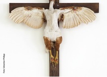 „Artystka” przybija kurę do krzyża