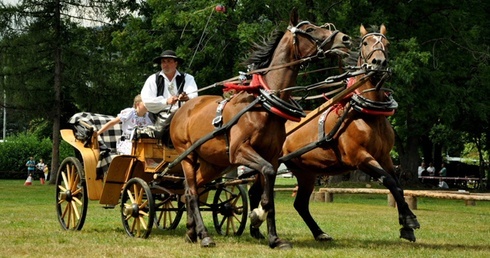 Międzynarodowy Festiwal Ziem Górskich