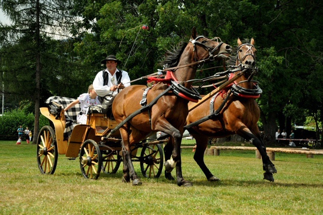 Międzynarodowy Festiwal Ziem Górskich