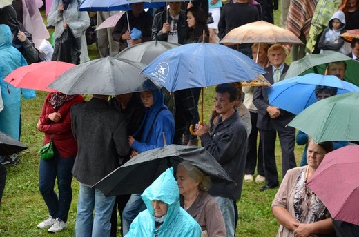 Uroczystości w Wąwolnicy