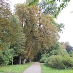 Park krajobrazowy w Radziejowicach