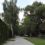 Park krajobrazowy w Radziejowicach