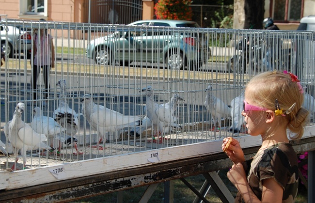 "Uliczka Tradycji" bawi i uczy