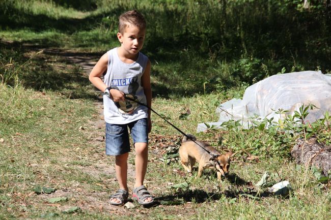 Piknik u dominikanów