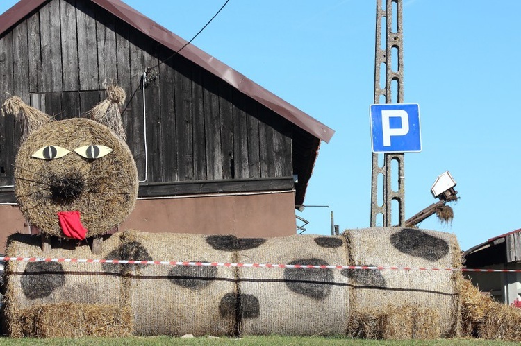 Dożynki w Blankach