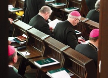 Dokument dot. postępowania kościelnego w przypadku oskarżeń duchownych o molestowanie osób małoletnich został przyjęty przez Zebranie Plenarne Episkopatu Polski 20 czerwca 2009 r.