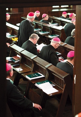 Dokument dot. postępowania kościelnego w przypadku oskarżeń duchownych o molestowanie osób małoletnich został przyjęty przez Zebranie Plenarne Episkopatu Polski 20 czerwca 2009 r.