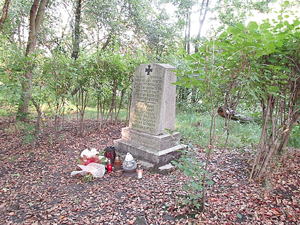 Obelisk upamiętniający zamordowanych powstańców odnaleziono przypadkiem  przed dwoma laty 