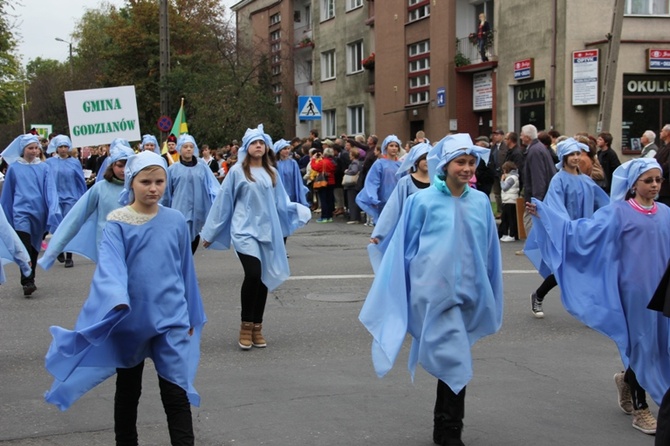 Skierniewicka Parada 2013