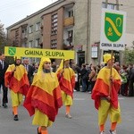 Skierniewicka Parada 2013