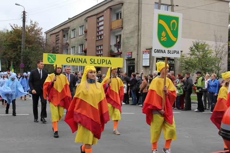 Skierniewicka Parada 2013