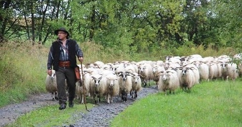 Finał Redyku Karpackiego w Rožnově pod Radhoštěm