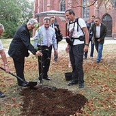  Uczestnicy marszu sadzą lipę przy sanktuarium w Piekarach Śl.