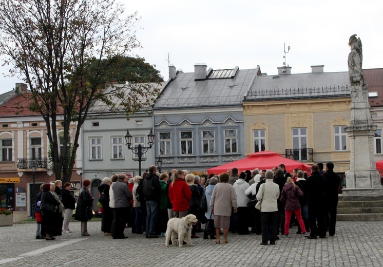 Koronka na ulicach. Brzesko.