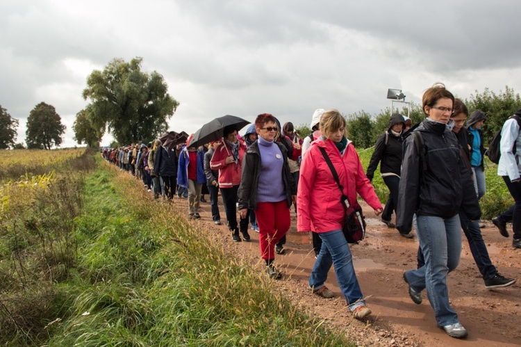 Pielgrzymka katechetów i nauczycieli