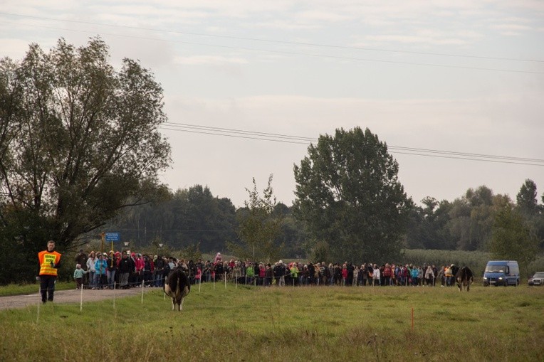 Pielgrzymka katechetów i nauczycieli