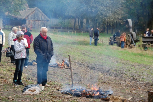 Ziemniak w roli głównej